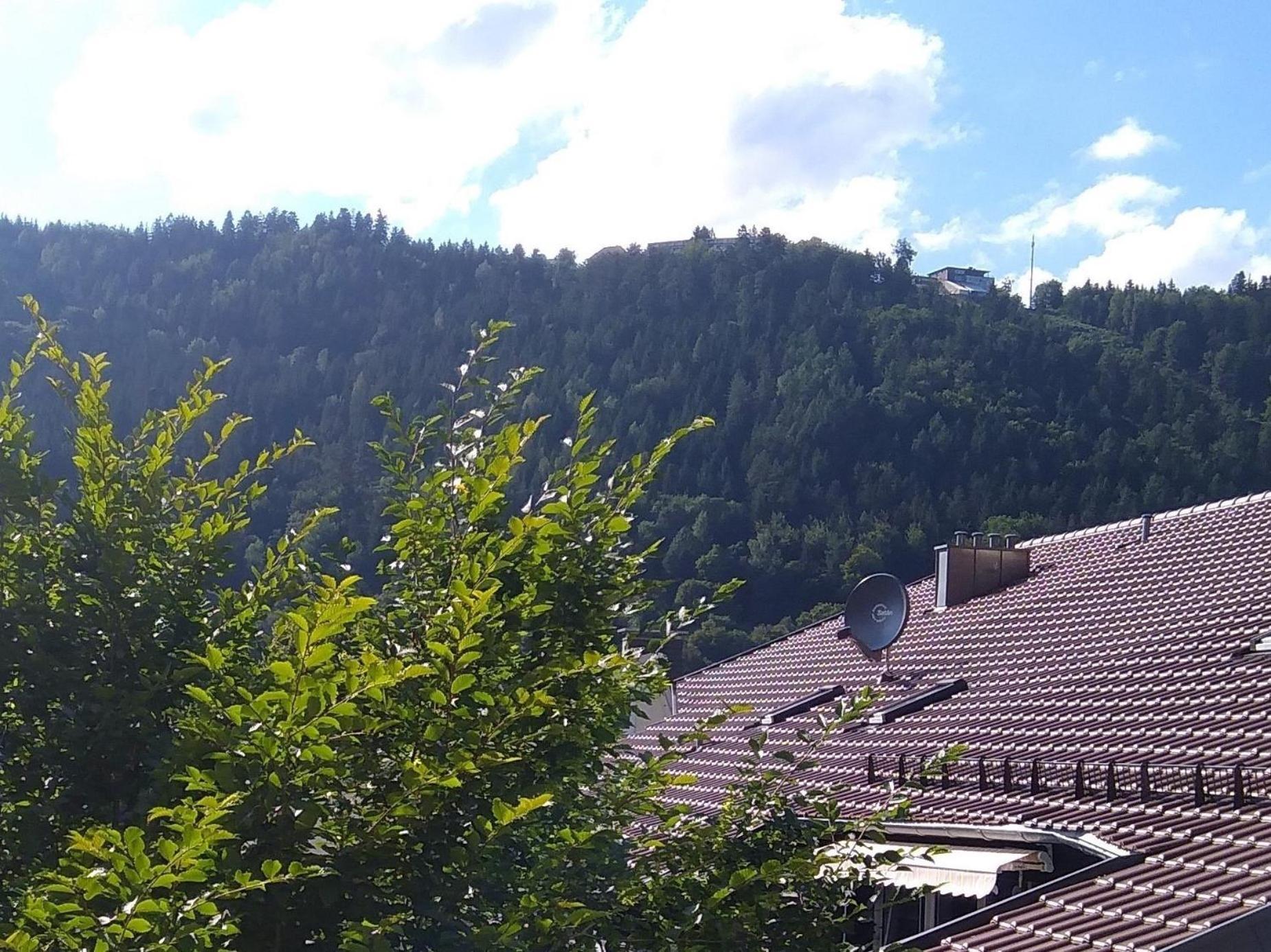 Ferienwohnung Tannenwald Бад-Вильдбад Экстерьер фото